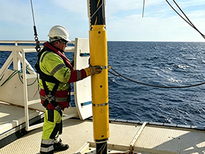 The Role of Protective Split Sleeves in High-Current J-Tube Entries